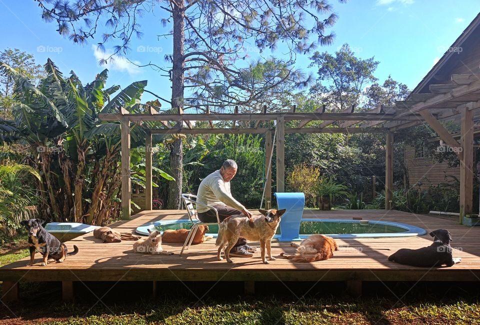 The man and the dogs