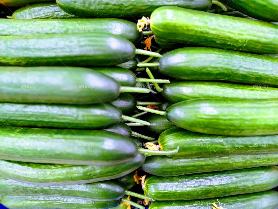 cucumbers