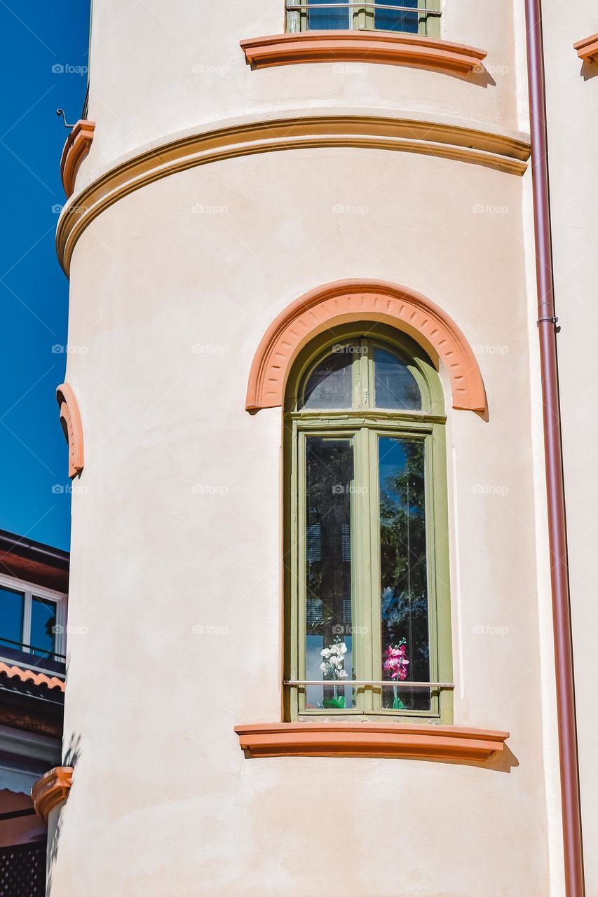 two orchids in the window