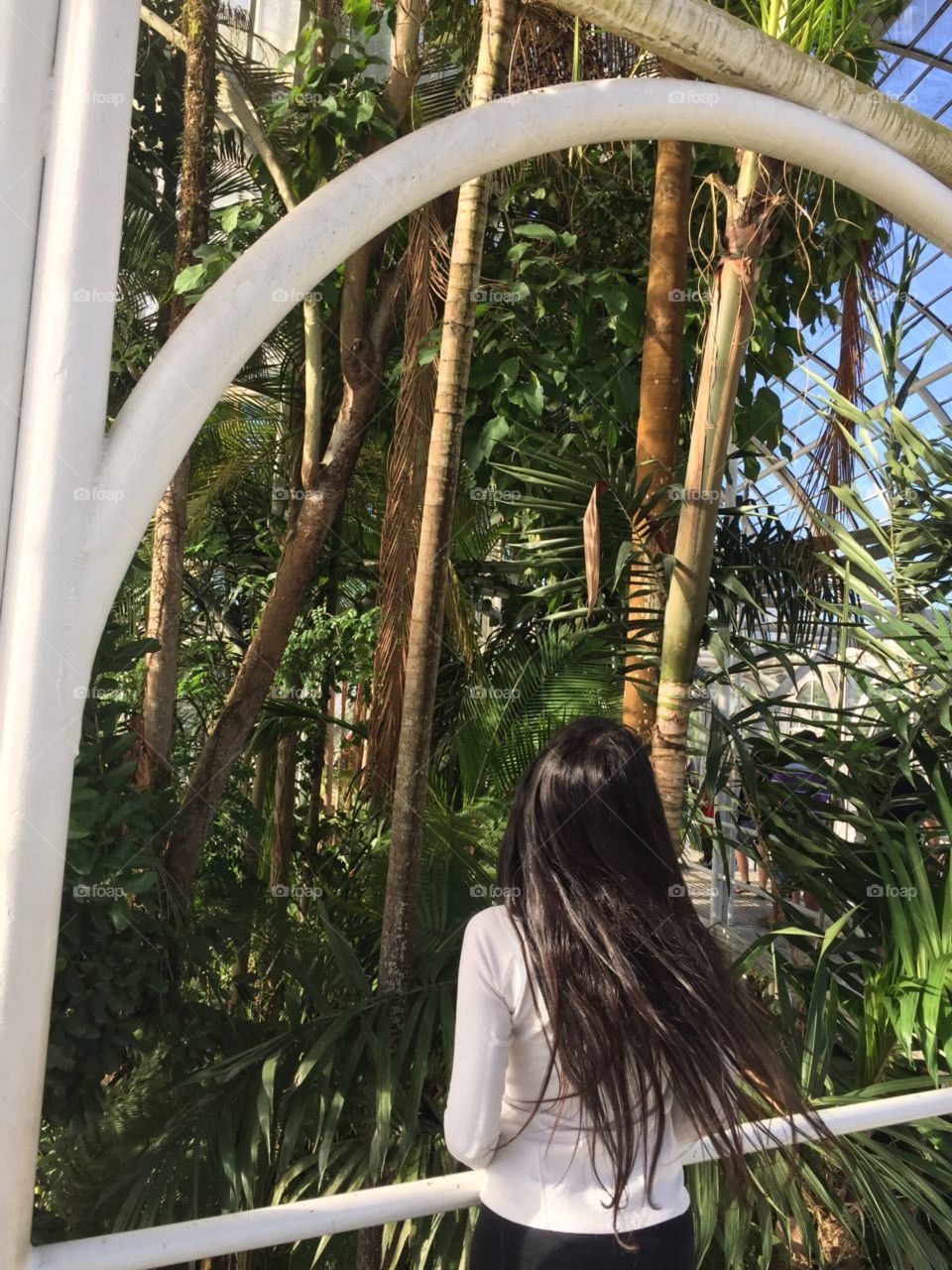 Botanic Garden,  Curitiba Brasil