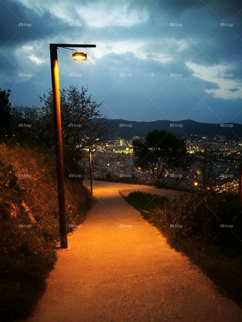 Pathway in the evening