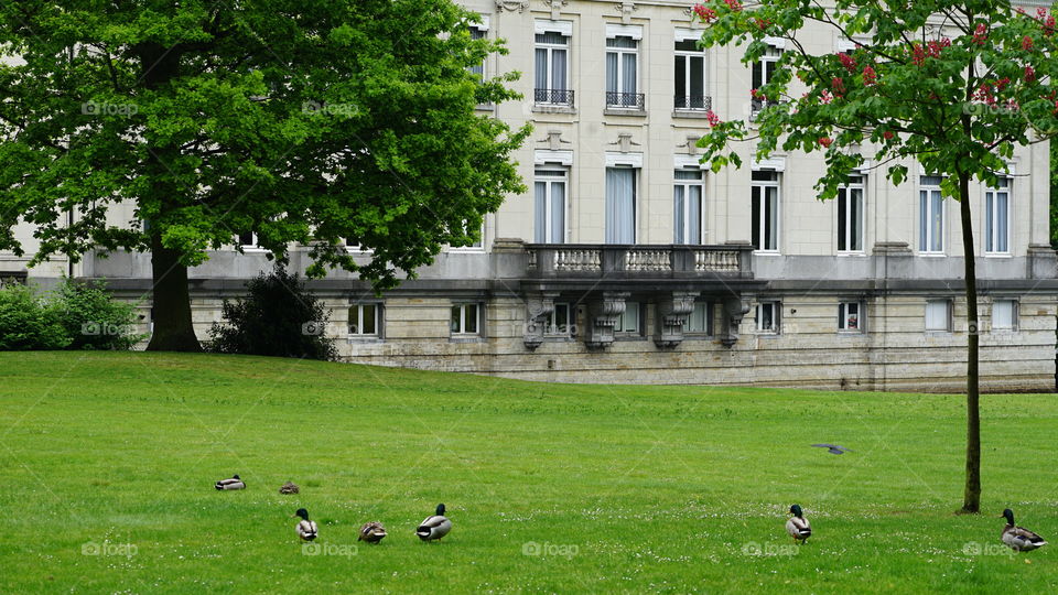 A castle in a park in Antwerp