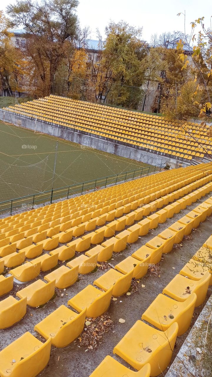 yellow seats in the stadium