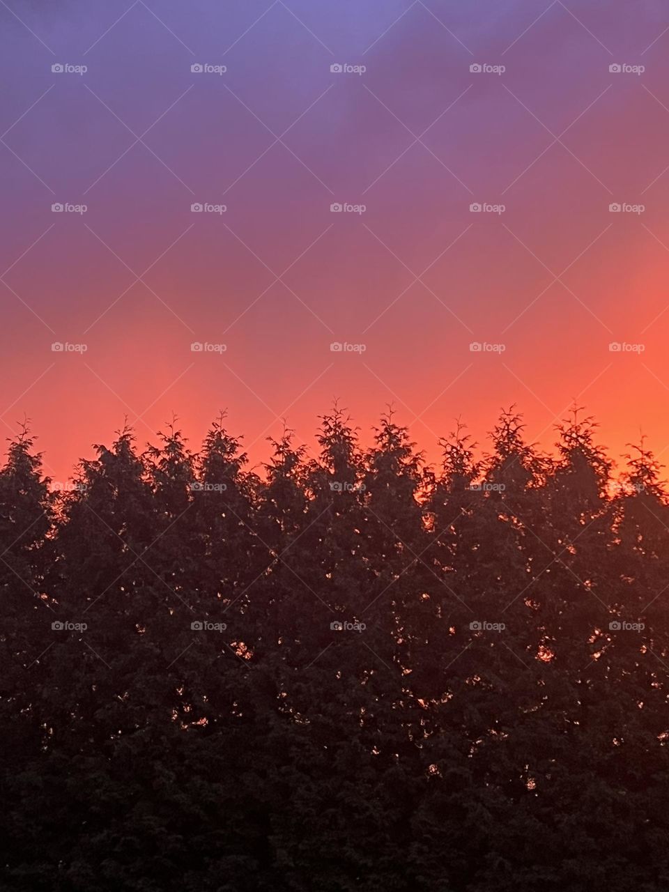 Red skies in morning 