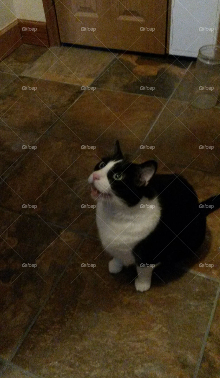 He Sings Me The Songs Of His People