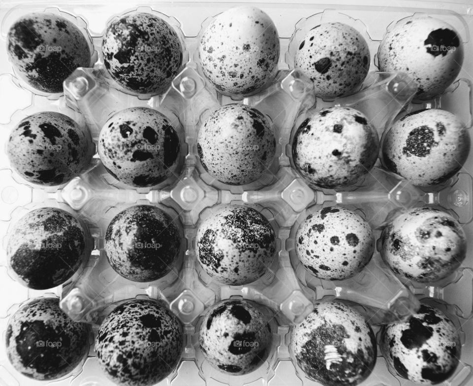 quail eggs in the box texture top view black and white background