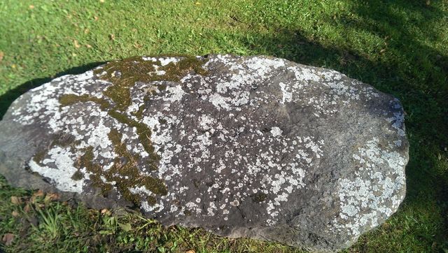Rode stone