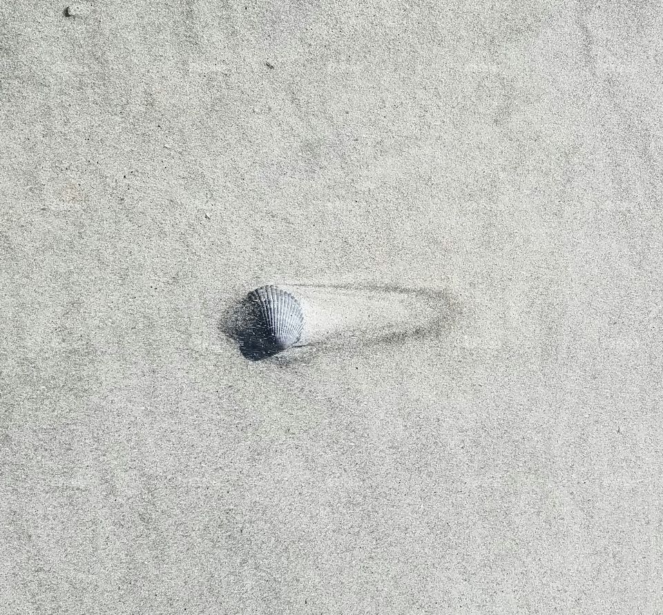 shell in sand with wind pattern