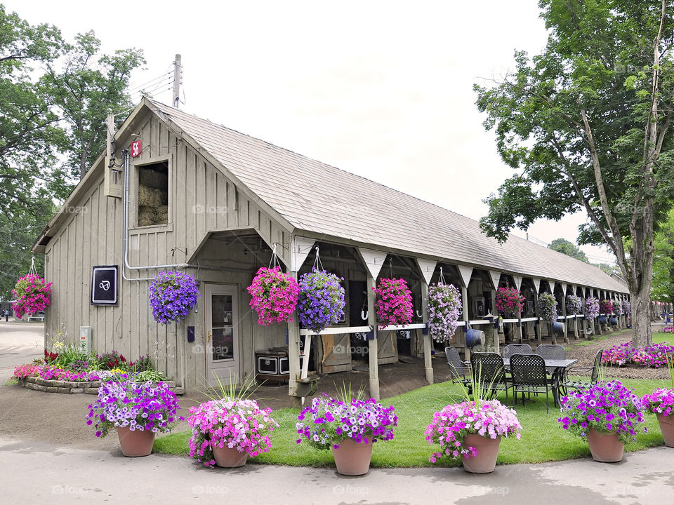 Saratoga Horse Haven