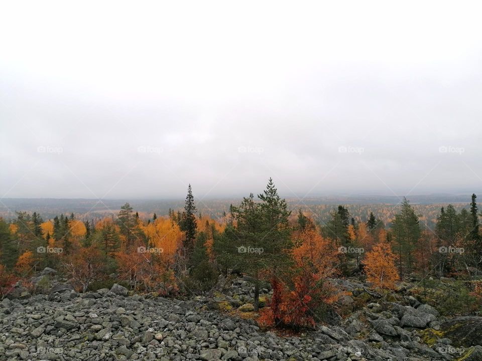 A wonderful autumn landscape in Finnish Lapland on top of a fell