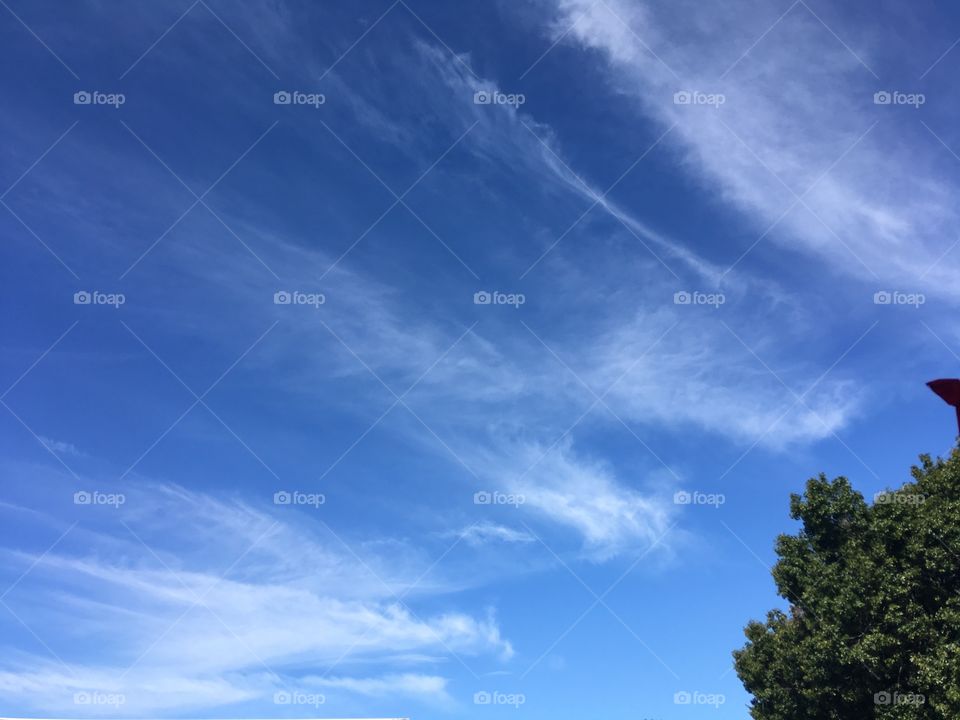 What a beautiful day sitting here looking at the air brushed sky! Such a wonderful site.