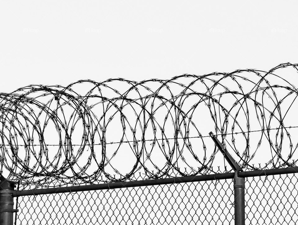 Coiled razor wire above a fence.