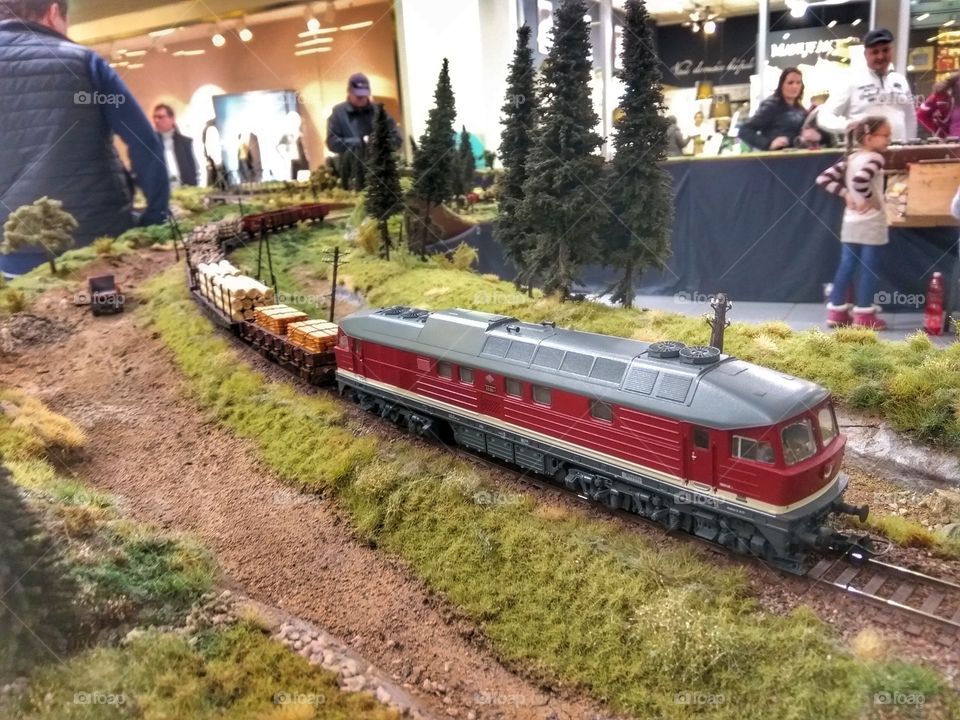 Train model