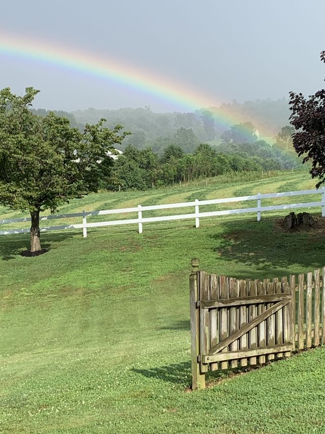 Rainbow