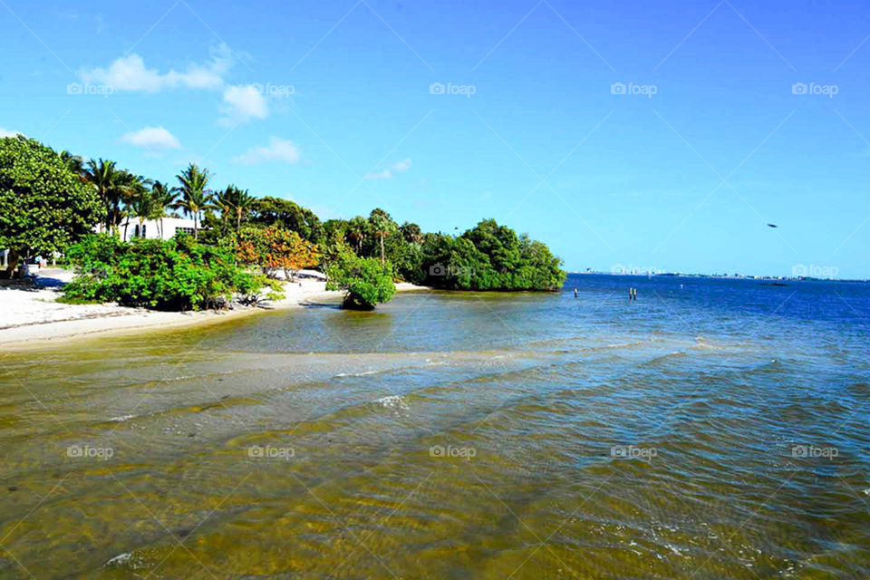 Indian River Park morning. view from Jensen Beach's Indian River Park