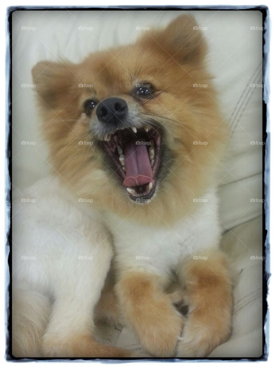 Big Yawn!!