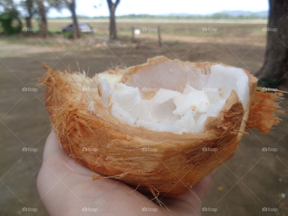 Costa Rica Coconut