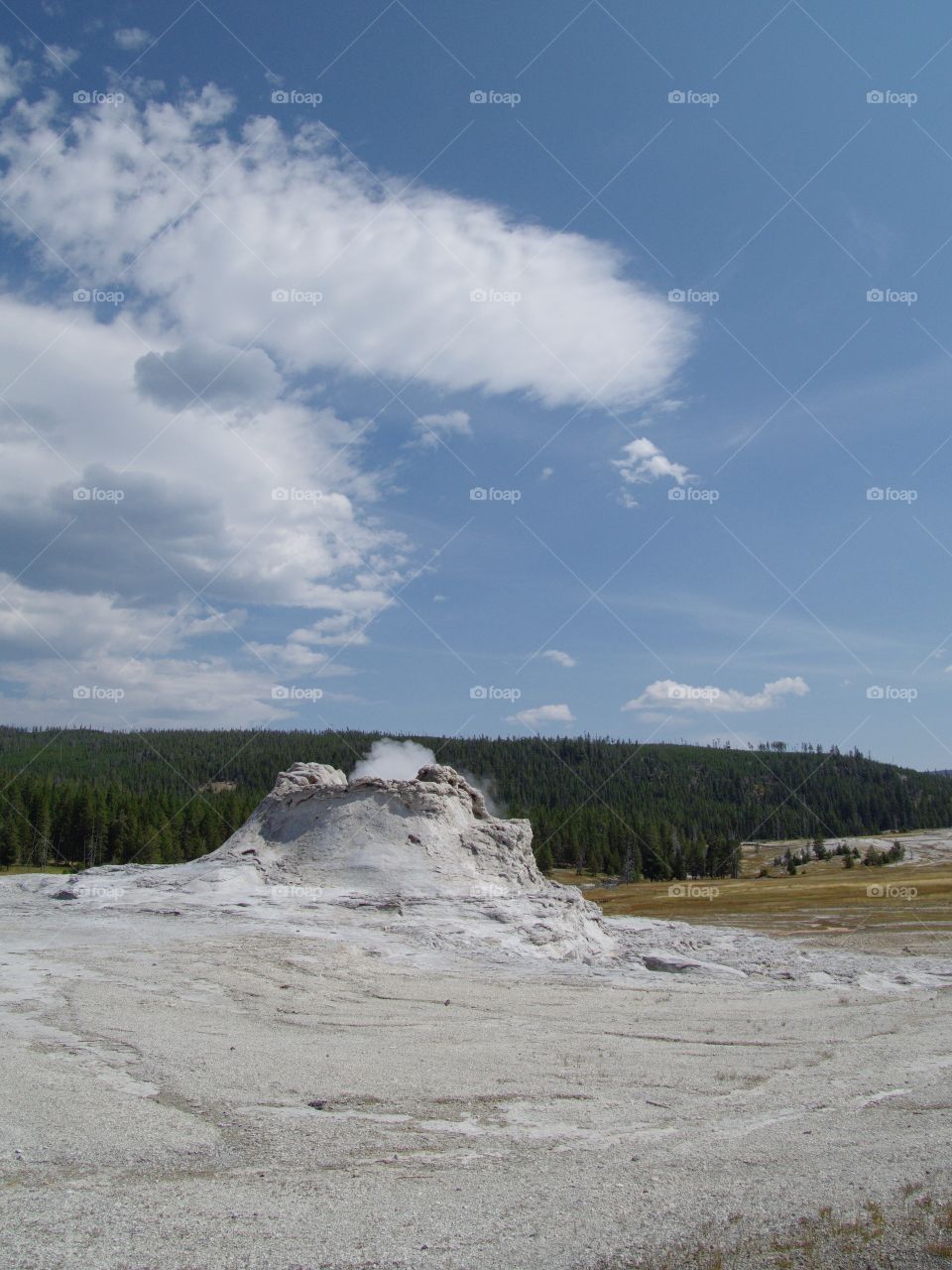 Castle Geyser on Geyser Hill in Yellowstone National Park steams before erupting on a sunny summer day. 