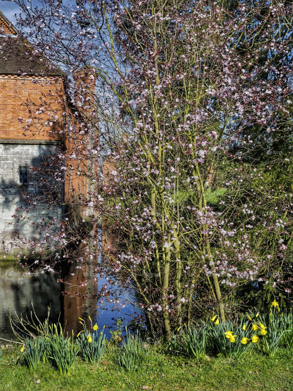 Estate stately home. Estate and grounds of stately home 