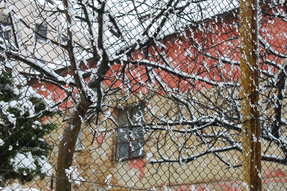 Snow on the wire fence in front of old house