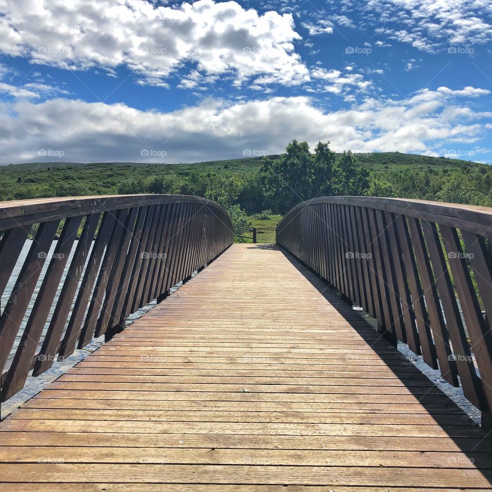 Crossing the bridge I was so grateful to be able to enjoy such a peaceful place.   It’s a good thing for the soul to take time to reconnect with Mother Nature.