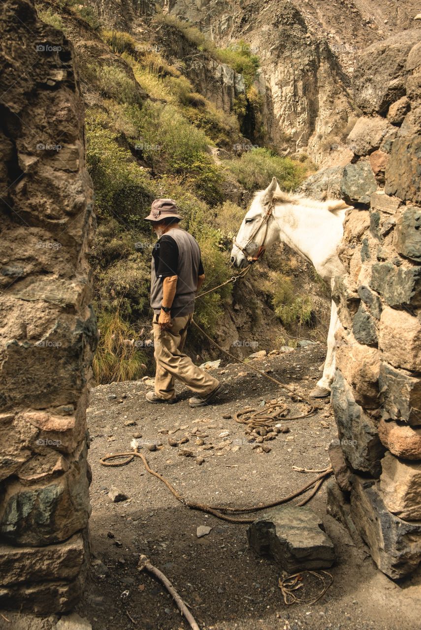 A person pulling a beast of burden in the sierra.