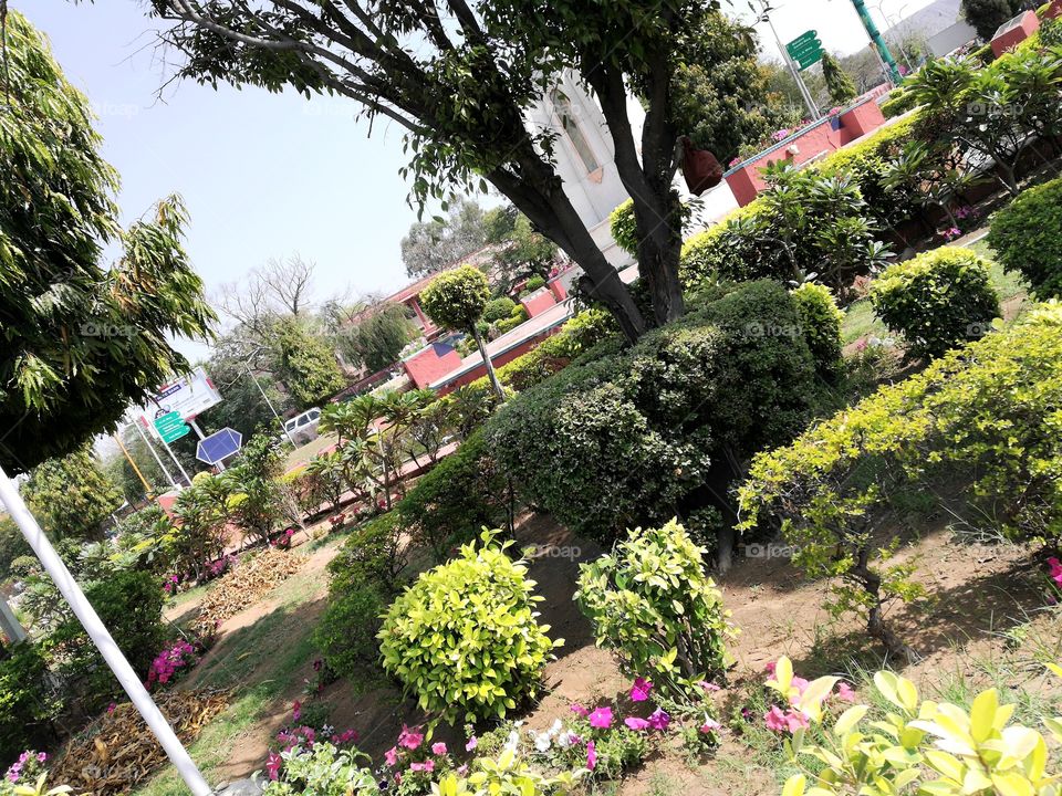 Gandhi Marg..a  small park