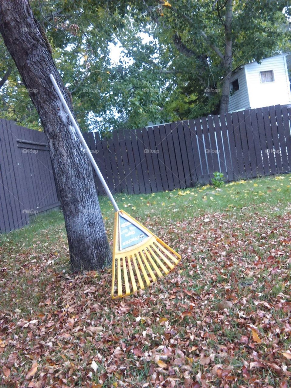 Rake