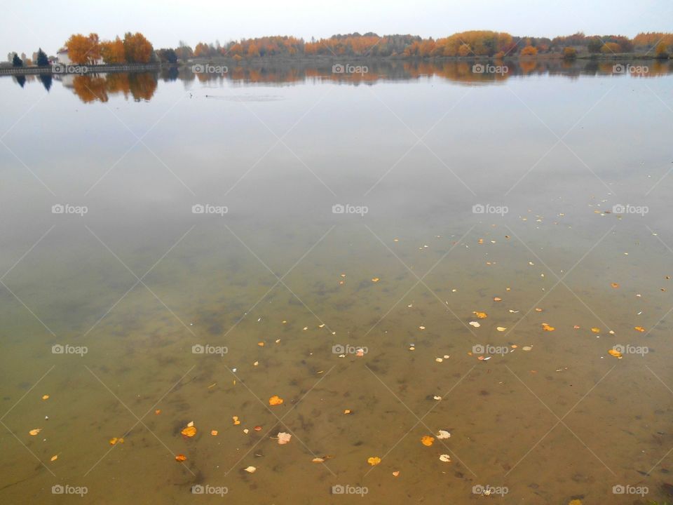 Water, Reflection, Lake, Landscape, River