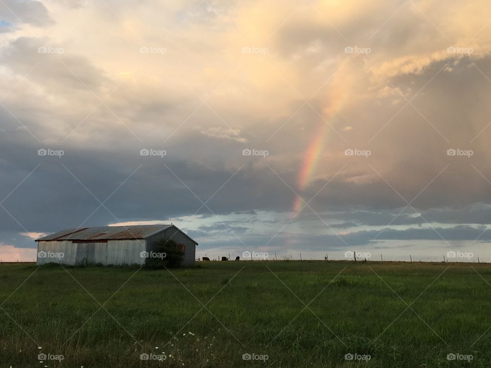 Rainbow Countryside 