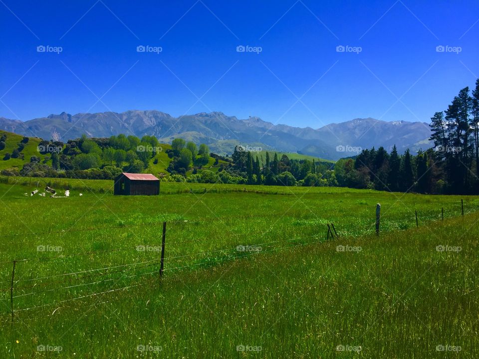 Abandoned Barn New Zealand 