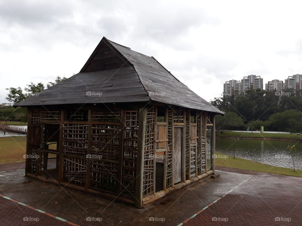 in simplicity nature shows us what is beautiful