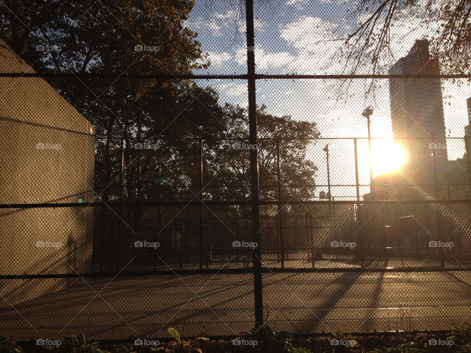 brooklyn usa fence morning sun by Glorialeicesterfan