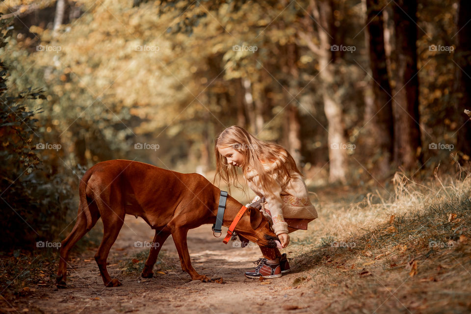 Little girl playing with dogs in an autumn park