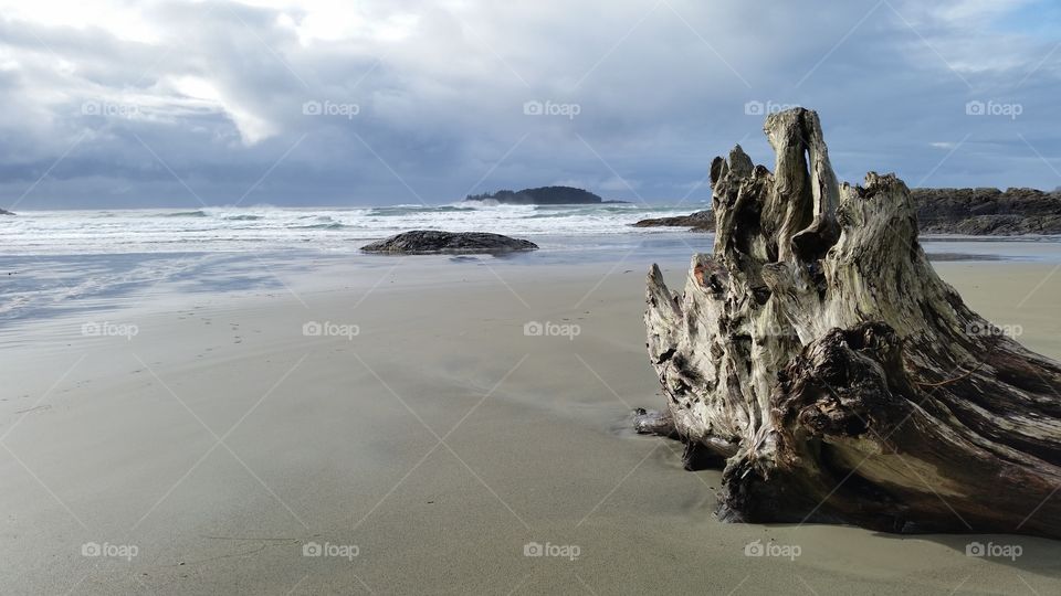 Beautiful west coast beach in the winter. 