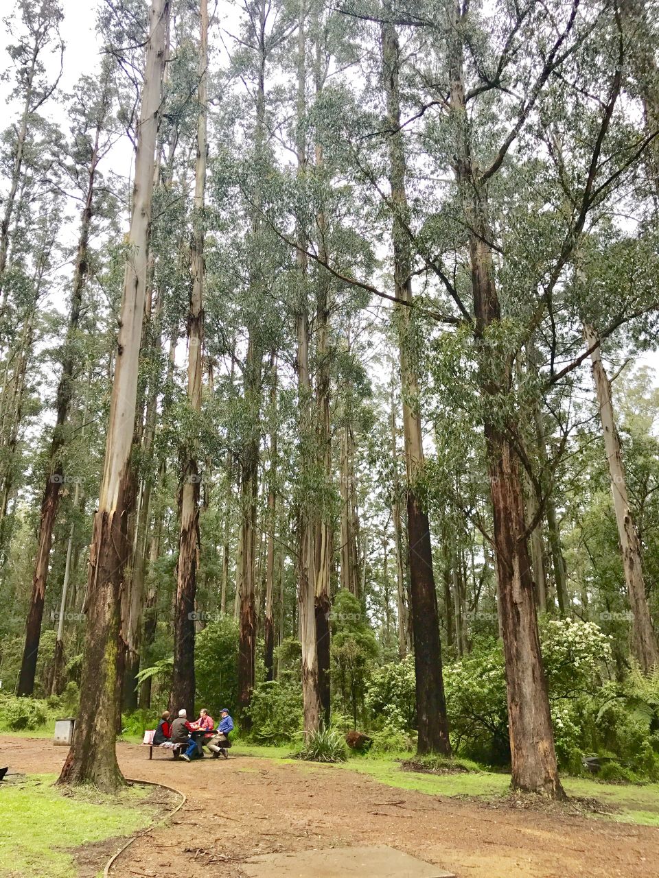 Having lunch in the country