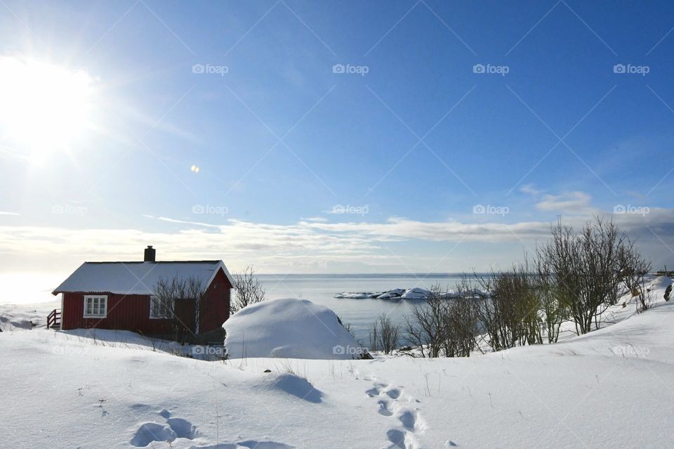 Beautiful Winter Landscapes