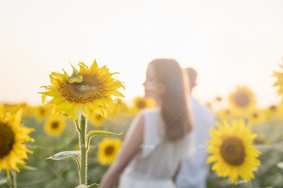 woman in white dress in sunflower field