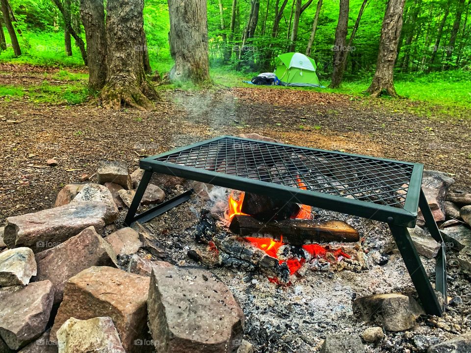 Mornings at the campsite 