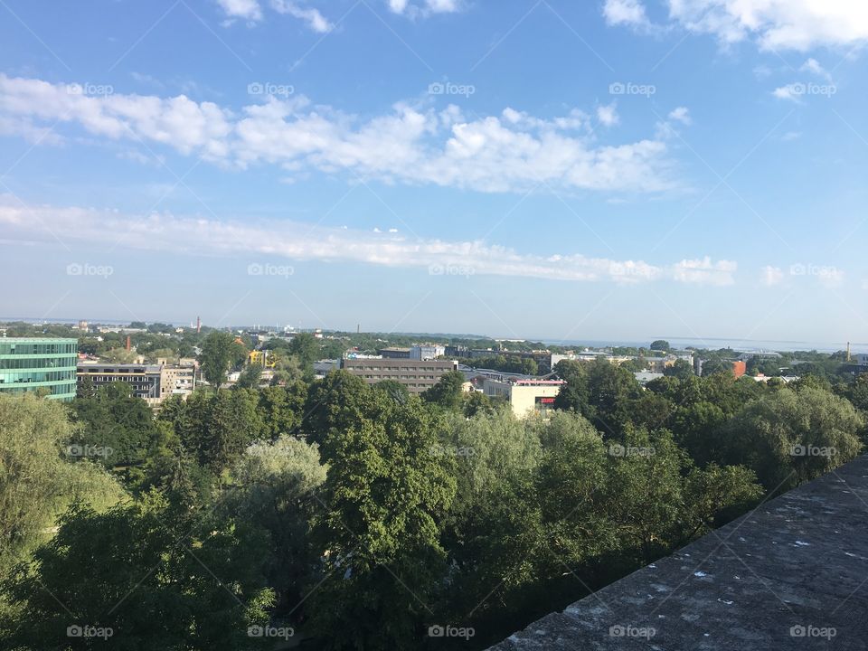 View Tallinn 