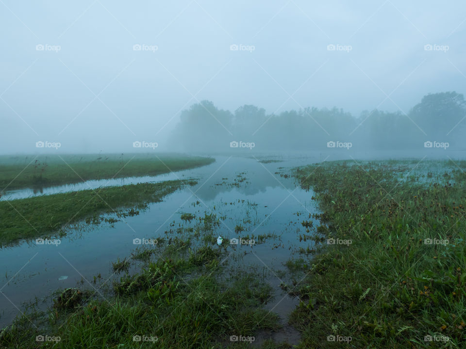 View of foggy river