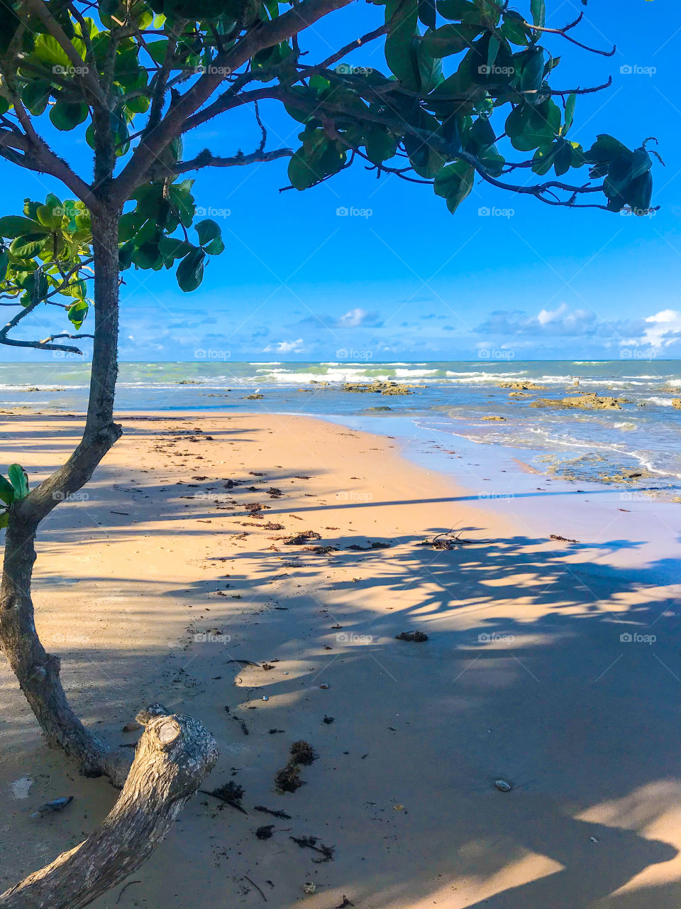 Cumuruxatiba Bahia Brasil 🇧🇷