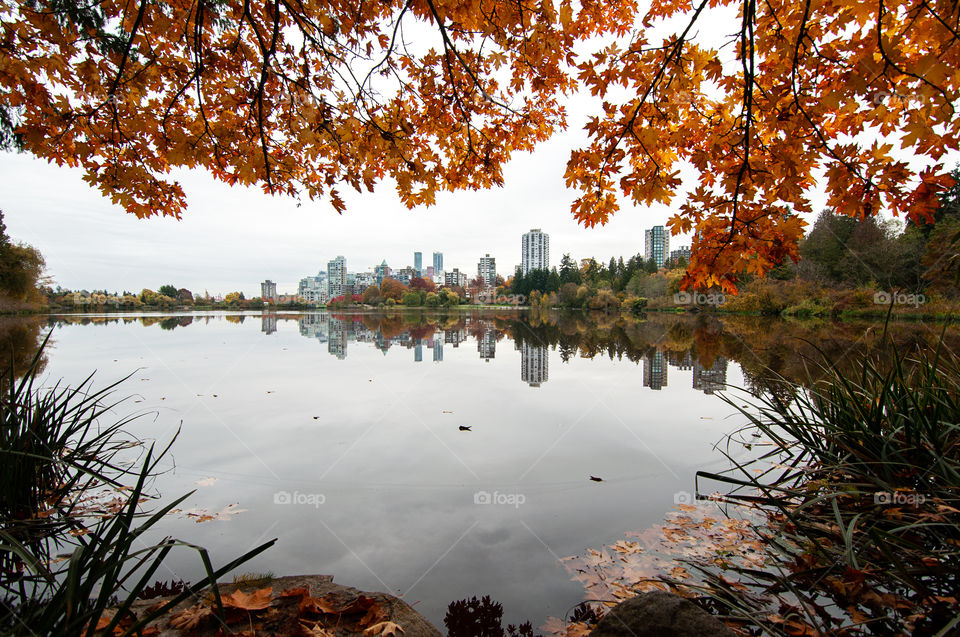 View to Downtown Vancouver from Stanley park