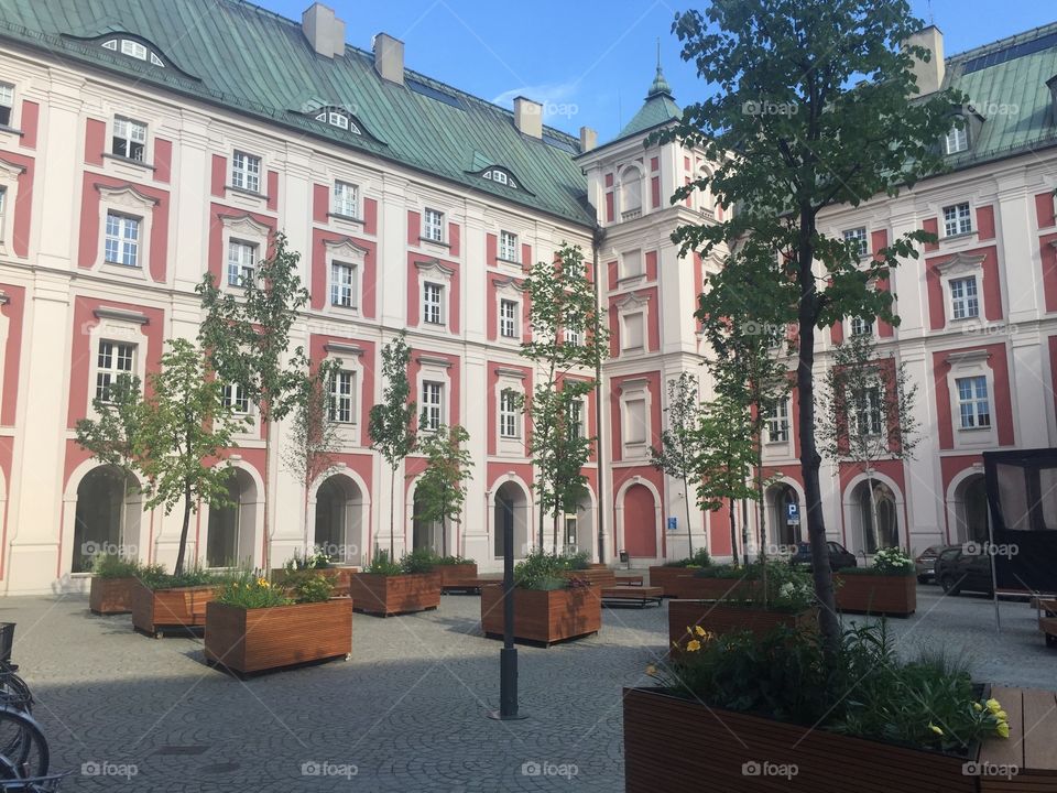 Courtyard with trees 