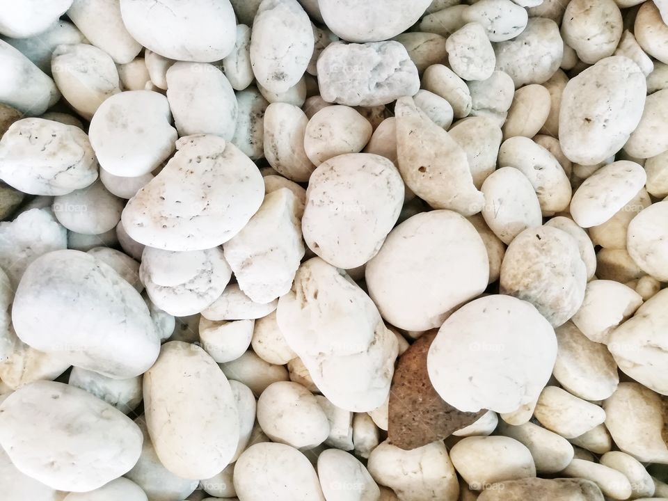 White pebbles background.