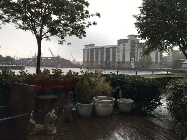Rain 