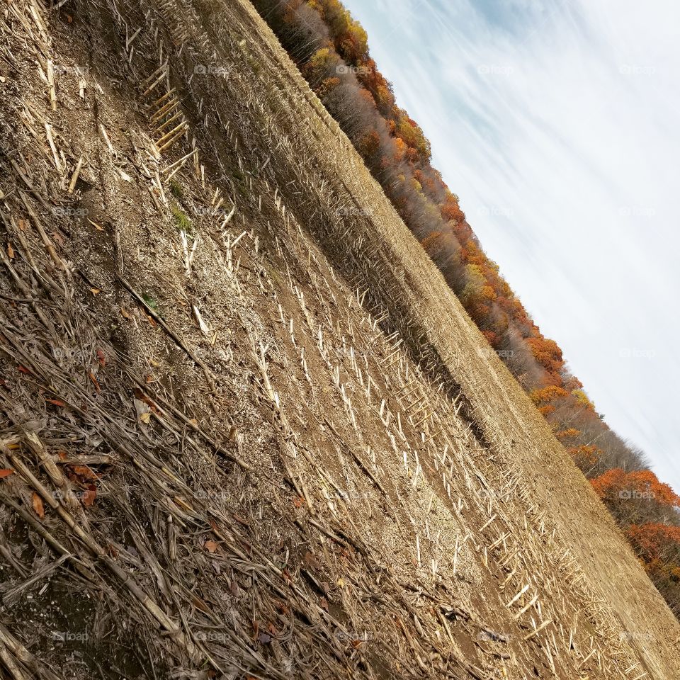nothing like a day in the fields