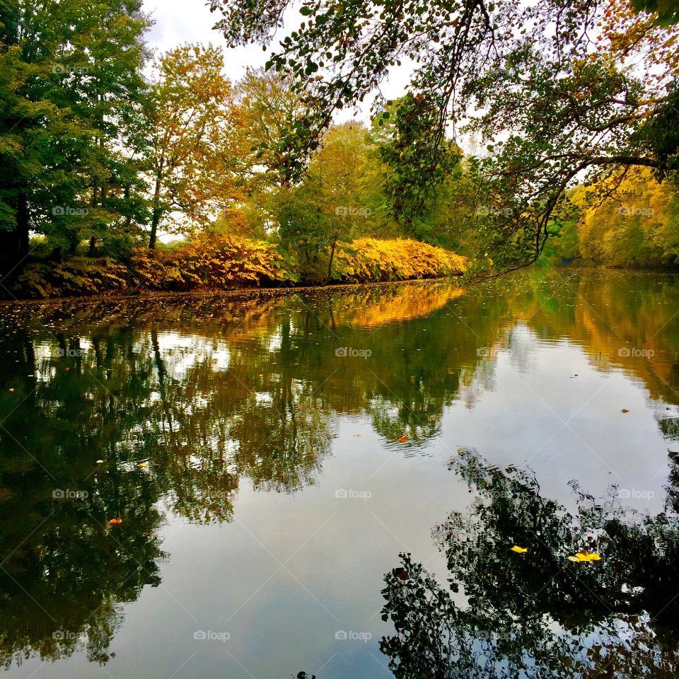 Scenic view of lake during autumn