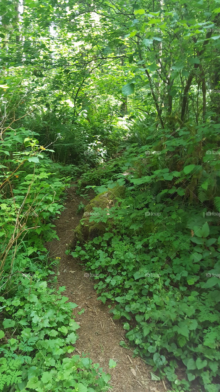 side trail