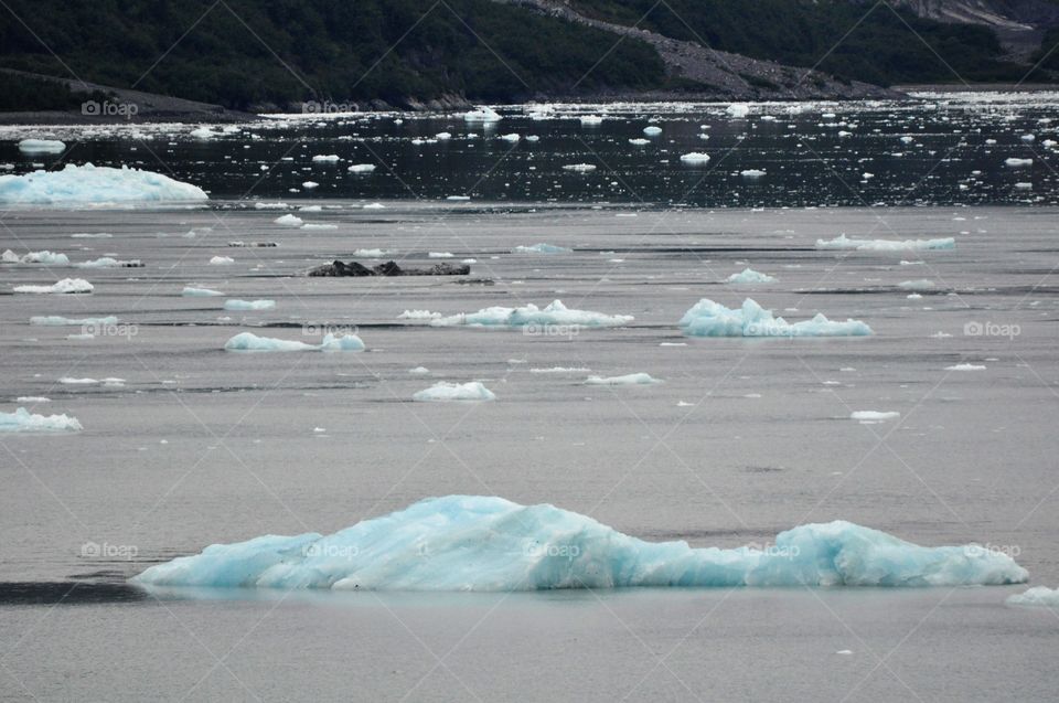 Melting glaciers